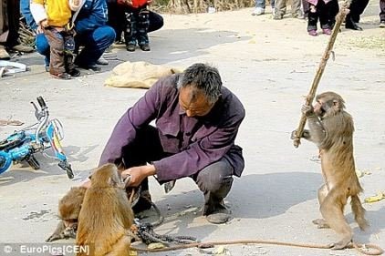 Funny Pictures
