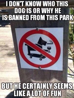 Funny Pictures