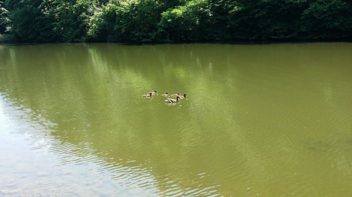 20150605_140547.jpg