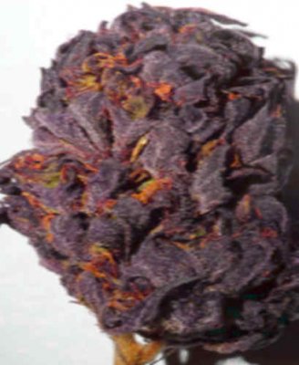 New To The Site