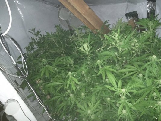 Billy's Flooded Tubes