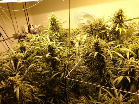 Uc6xl + Apache Tech Led