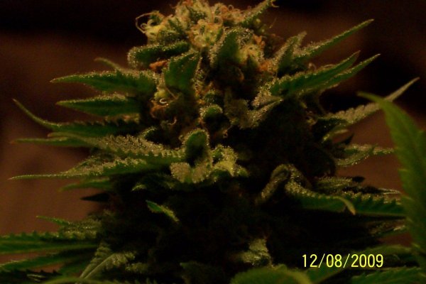 100_2772.jpg
