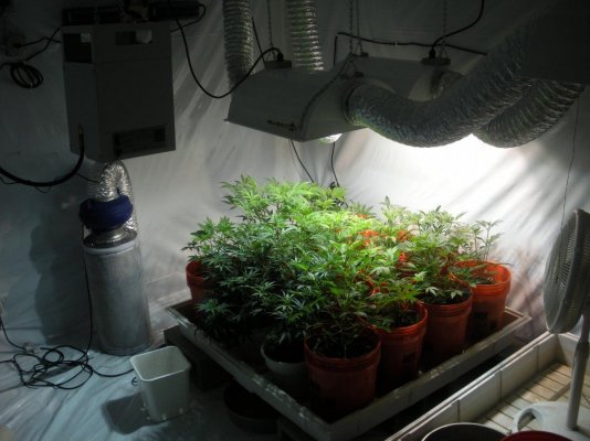 Cab Soil/Coco Seed/Clone chamber to a Sealed 2200 Watt Room