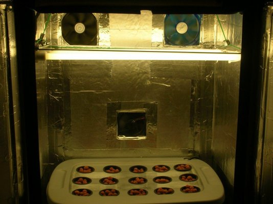 DSCN0648.JPG