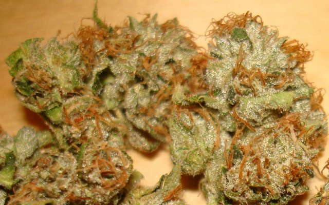 I think I got a really good cut of OG, help me identify.