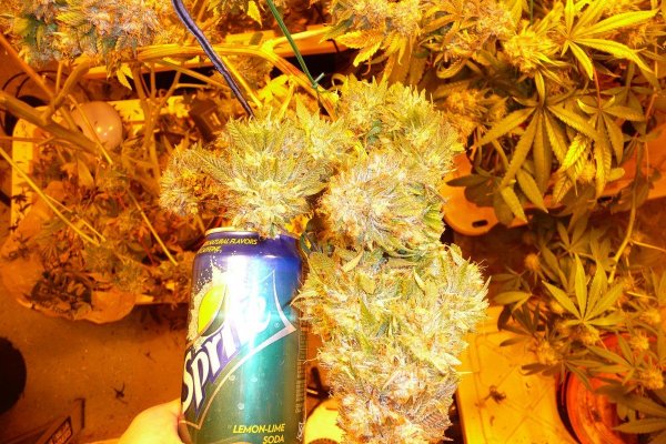 harvest8.jpg