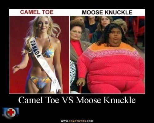 Funny Pictures