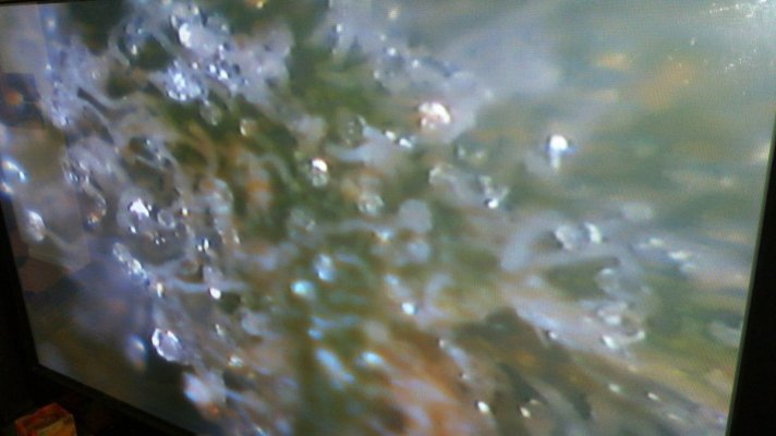 20150619_153321.jpg