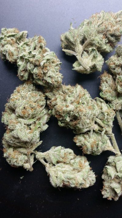 Goji Og