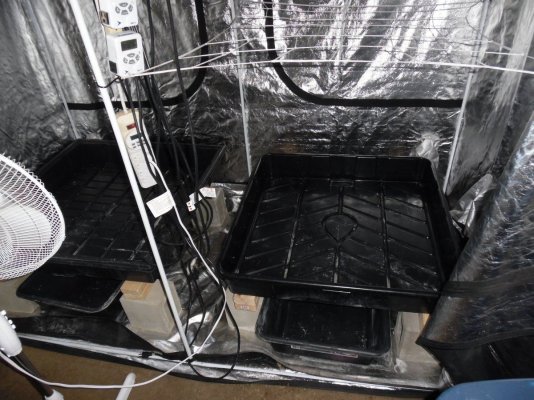 Realstyles 2nd White Power Led Grow