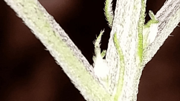 Screenshot_2015-07-11-19-39-22.png
