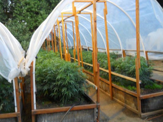 DSCN0618.JPG