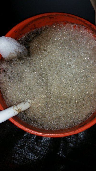 killerchef420s-no-till-adventure--exotic-genetics--more-2.jpg