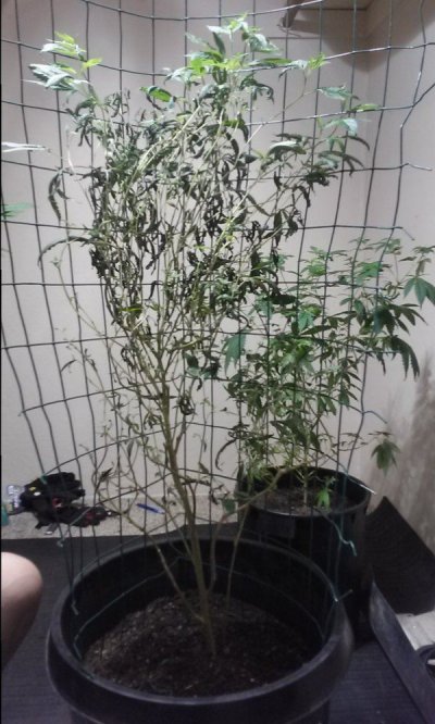 CAM00874