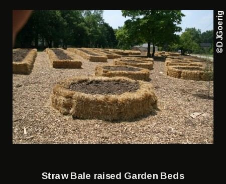 Strawbale raised beds
