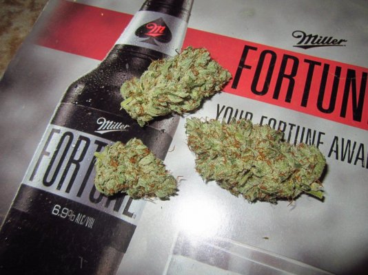Michigan... Strains, pics, and whatever!