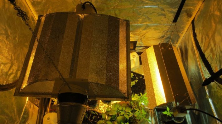 Sun System Epic Sealed Hood Reflector...eventual Review
