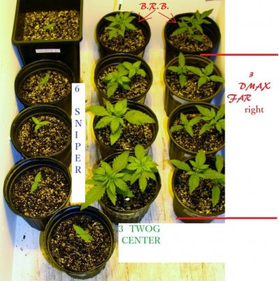 A Mix Of Auto's