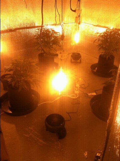 Watering In 15 Gallon Geo Pots?
