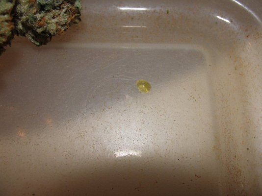 Canna Sap..don't Be A Sap