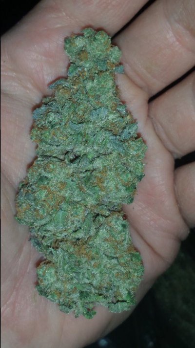 Girl Scout Cookies & Friends