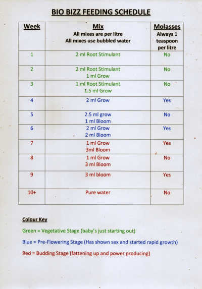 How To Grow Autoflowering Strains