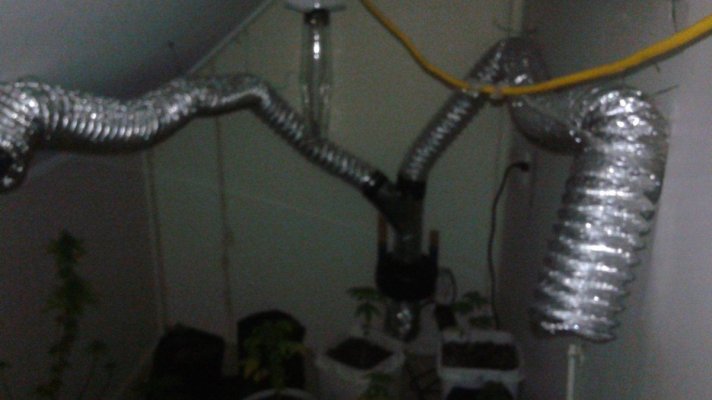 Fresh Run. Fresh Room