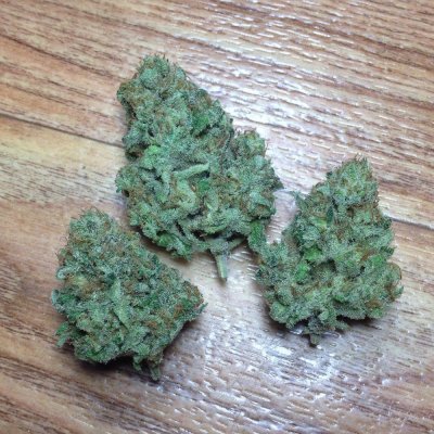 Skunk #1