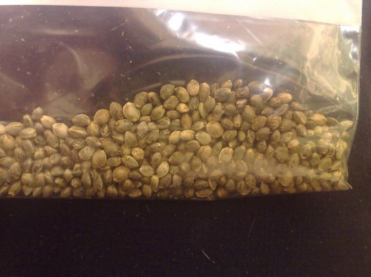 50-beans-the-church-here-we-go-2.jpg