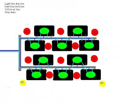 Newer 10 plant MPD.JPG