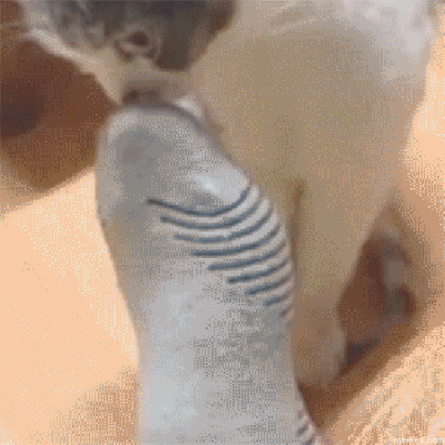 717831.GIF