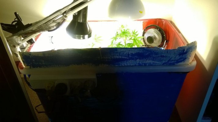 WP_20160108_010.jpg