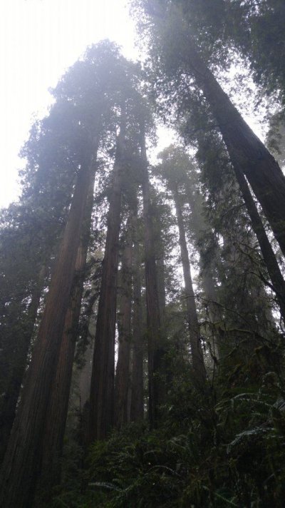 Nature....