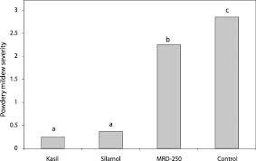 Kasil vs silimol PM severity graph.jpg