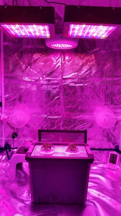 20160122_221829.jpg