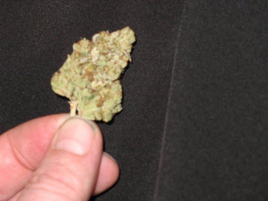 707-headband-smoke-report-4.jpg