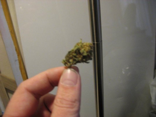 triangle-or-the-white-smoke-report-6.jpg