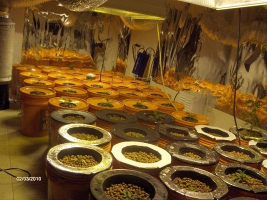 50-bucket-dwc-6.jpg
