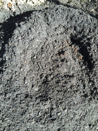 bas soil.jpg