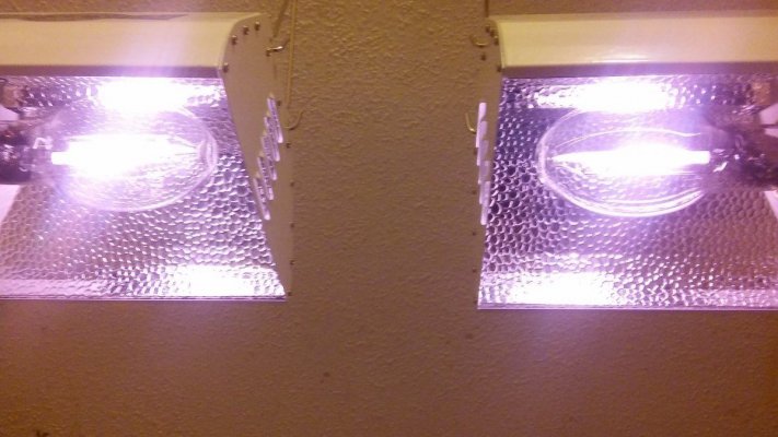 20160206_135118.jpg