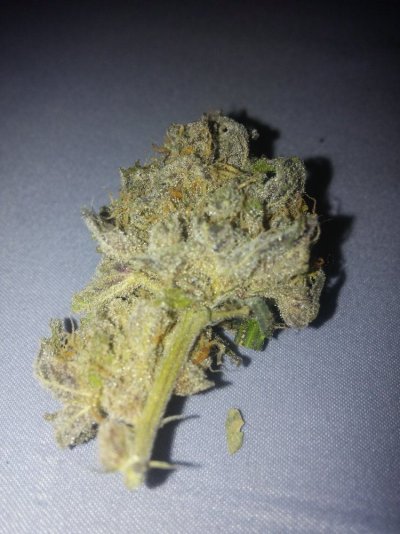Jsd, Gg#4 Hydroponic Research Coco Grow