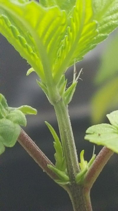20160216_115507.jpg