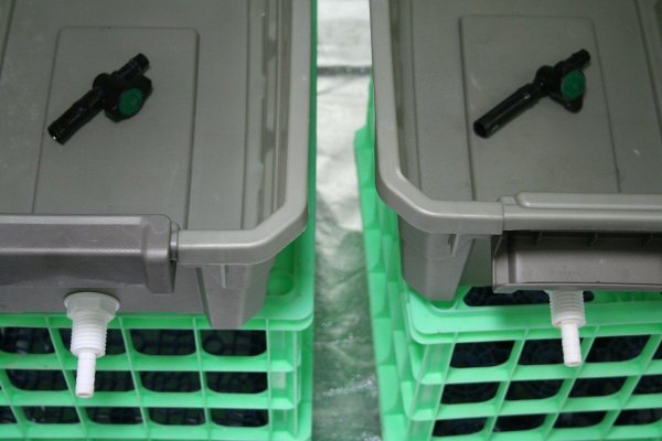 bubble-set-up-for-seedlings-002.jpg