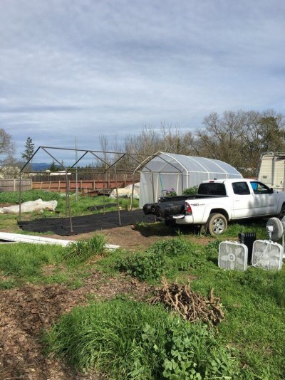 Massive Outdoor 2015 Northern Cali Grow,,,,