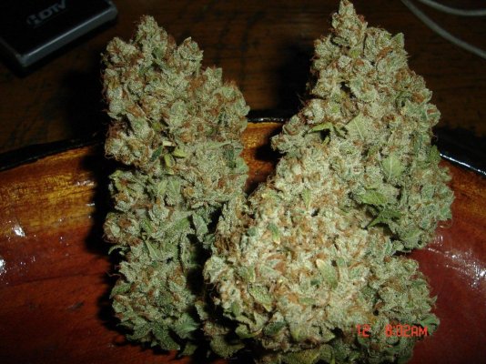 swerves-chemvalley-kush-8.jpg
