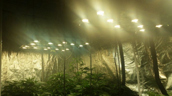 Is Cxb3590 A Top Contender To Replace 1200w Hps?