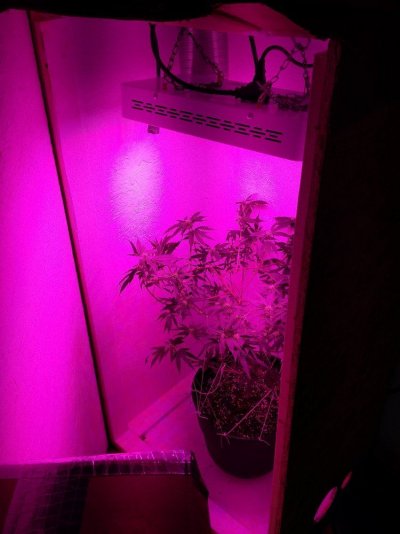 20160403_140934.jpg