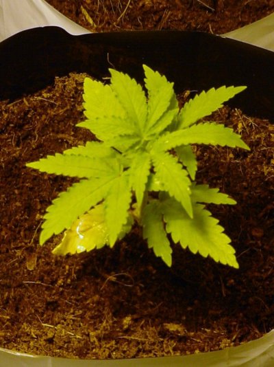 DSC09979.JPG