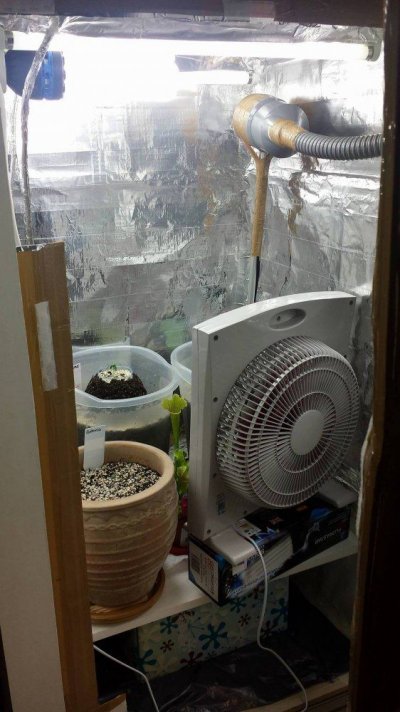 Updated Grow Box with new 40w Fan and 105m(h) Vent Fan (3).jpg